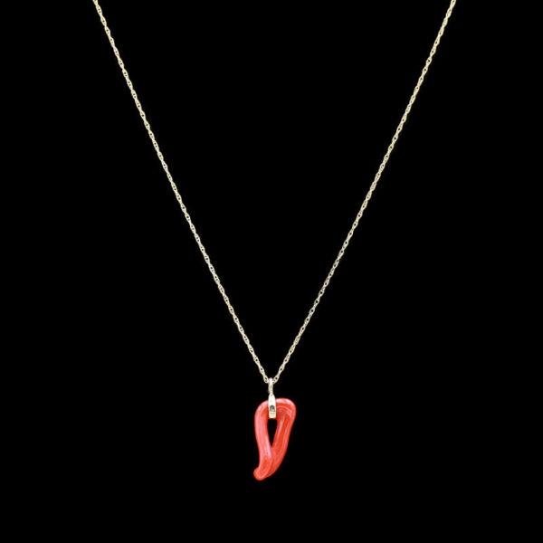 a necklace with a red pepper on it