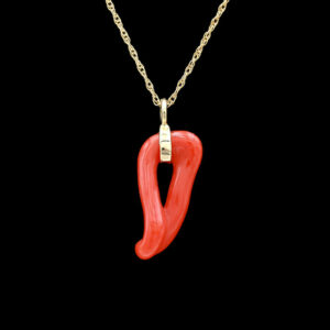 a necklace with a red chili on it