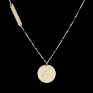 a necklace that has a small disc on it
