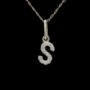 a pendant with the letter s on it