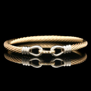 a bracelet with two links on it