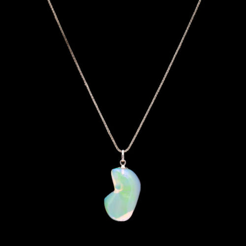 a necklace with a white shell hanging from it